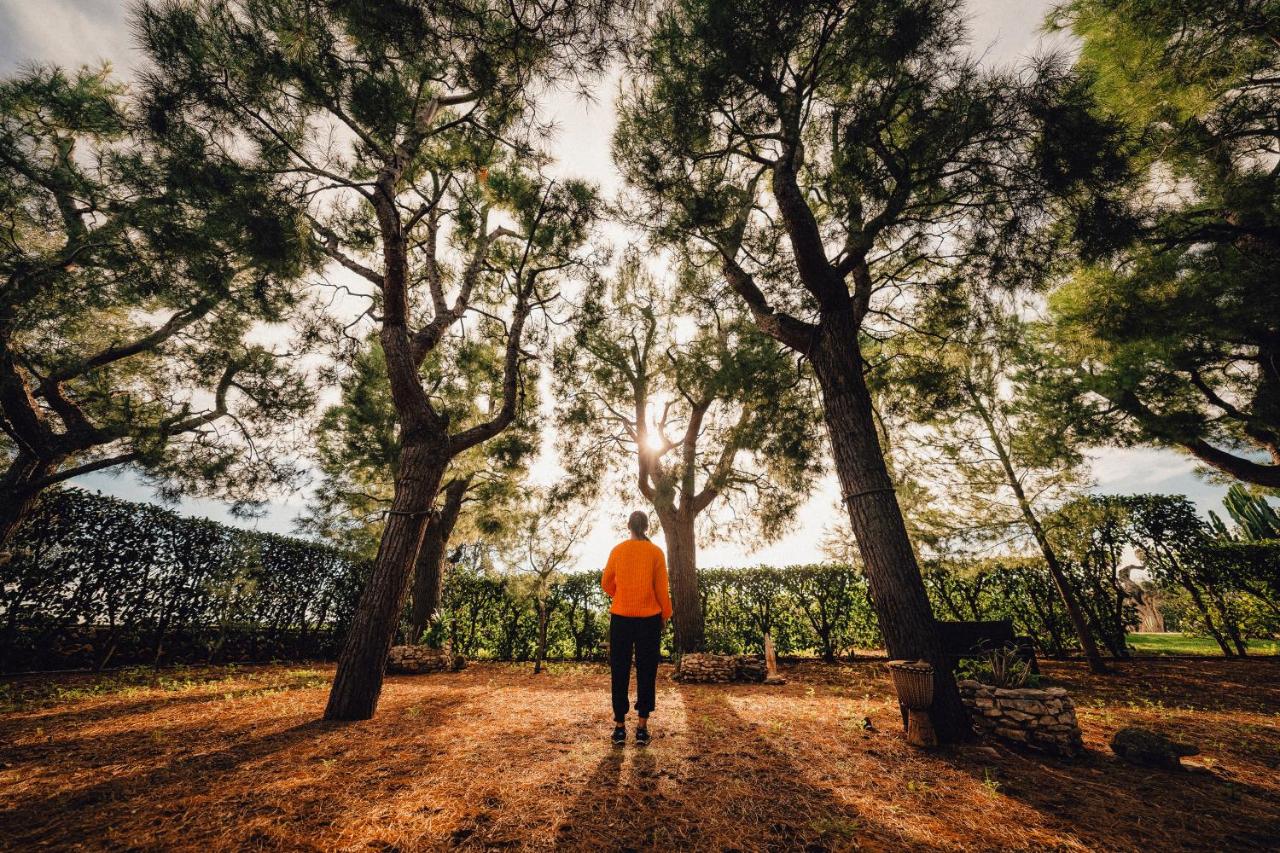 woman from the back surrounded by trees
